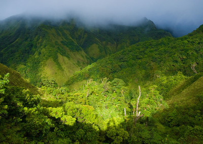 National Parks & Reserves