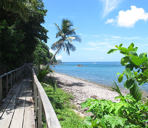 Champagne Beach