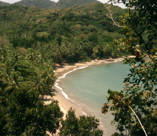 Hampstead Beach