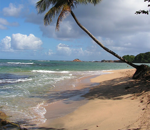 Woodford Hill Beach