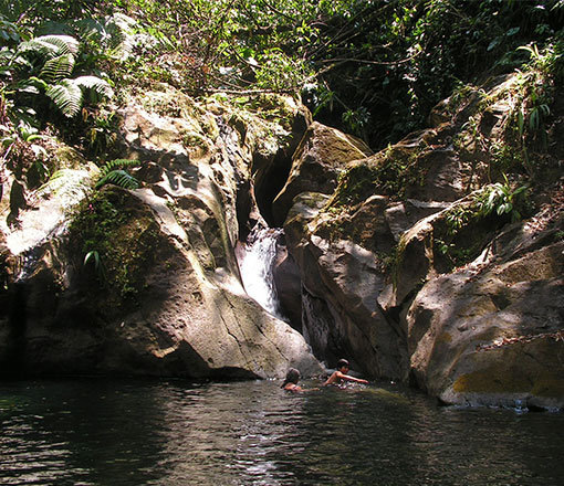 Charles Warner Trail