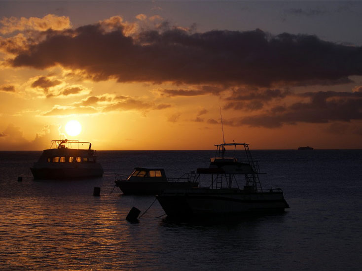 Dive Dominica Ltd – Scuba Diving, Snorkeling & Whale Watching Tours