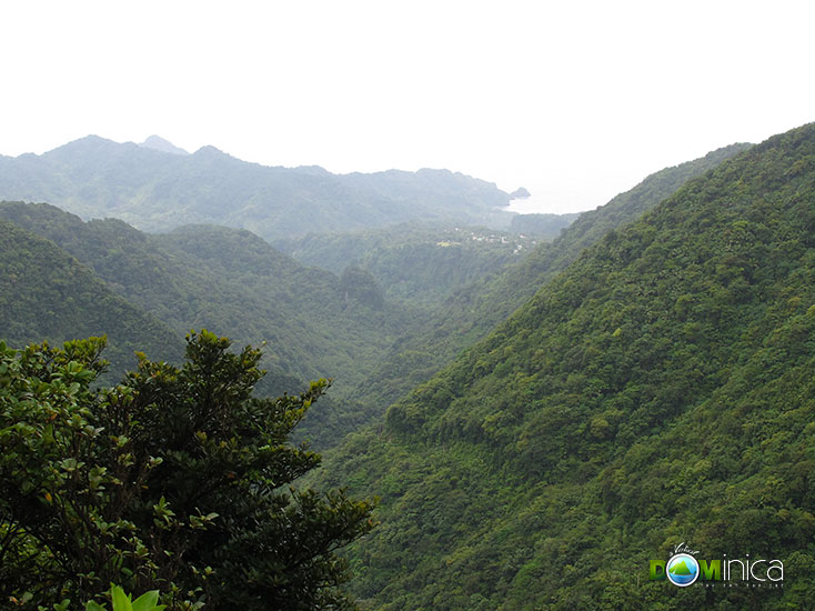 Chemin Letang Trail