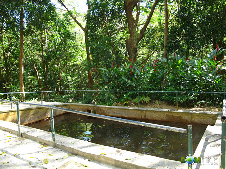 Soufriere Sulphur Springs