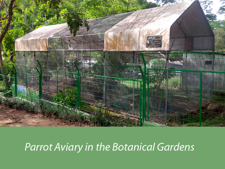 The Parrot Research Centre