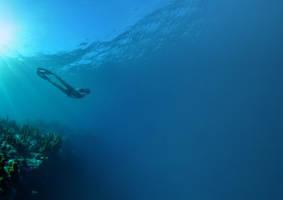 Freediving in Dominica