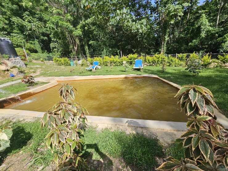 Bambooze Sulphur Baths